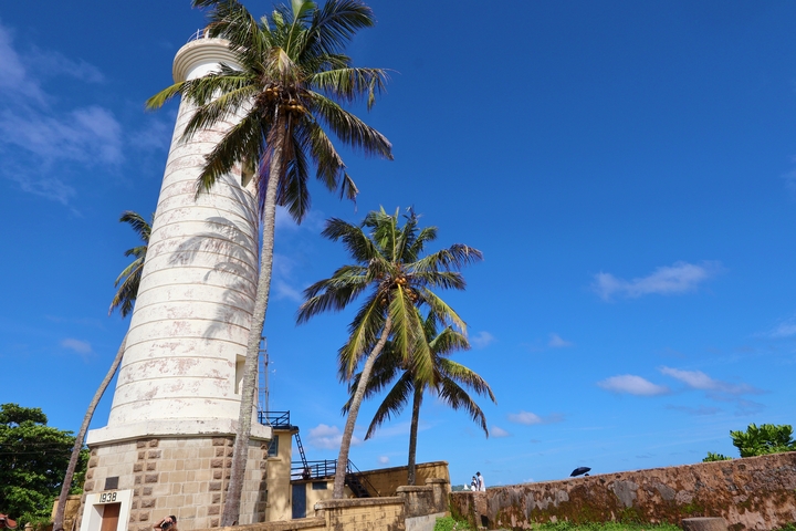 A lighthouse with coconut trees against a clear blue sky.