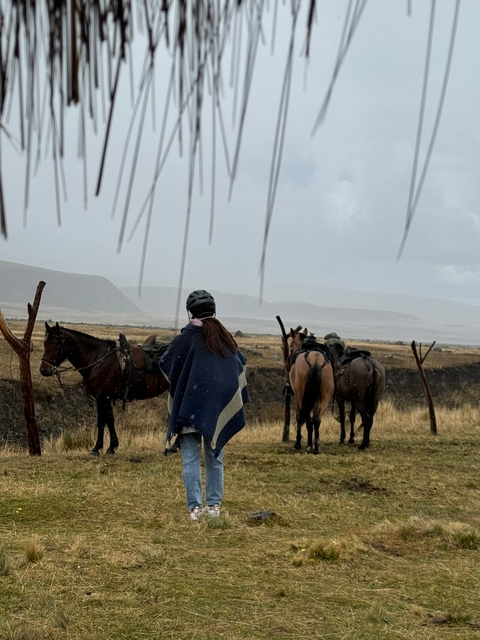       Rider and horses in a misty natural landscape.
  