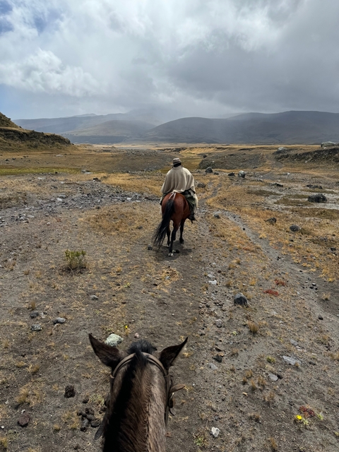       Person riding a horse through a rugged landscape.
  