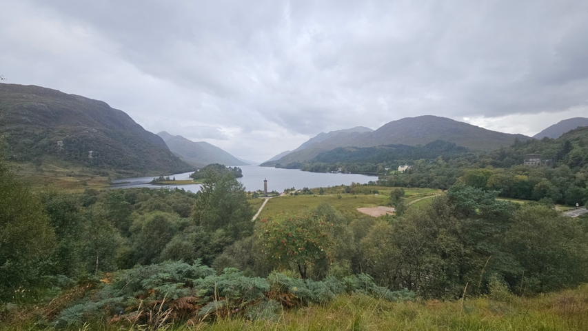 A view of a lake with surrounding greenery and a tower in the distance.