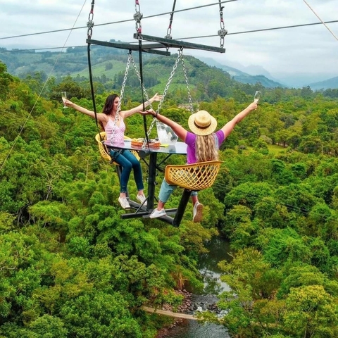 Two women enjoying a swing over a lush green landscape.