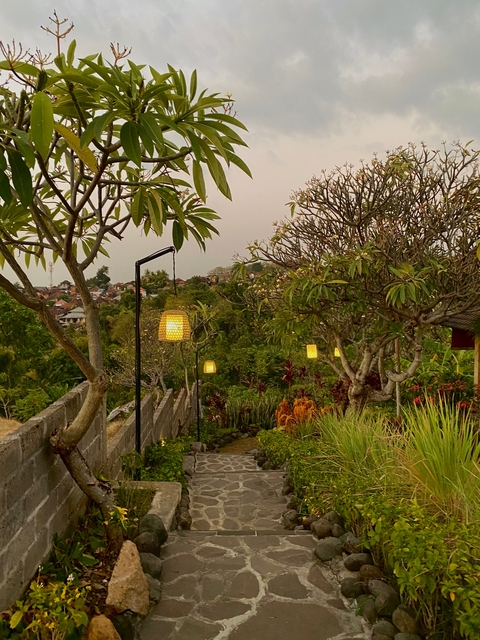 Field with colorful lanterns in a lush landscape