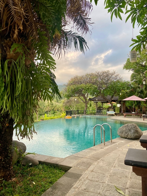       Pool with surrounding greenery and hill in the background
  