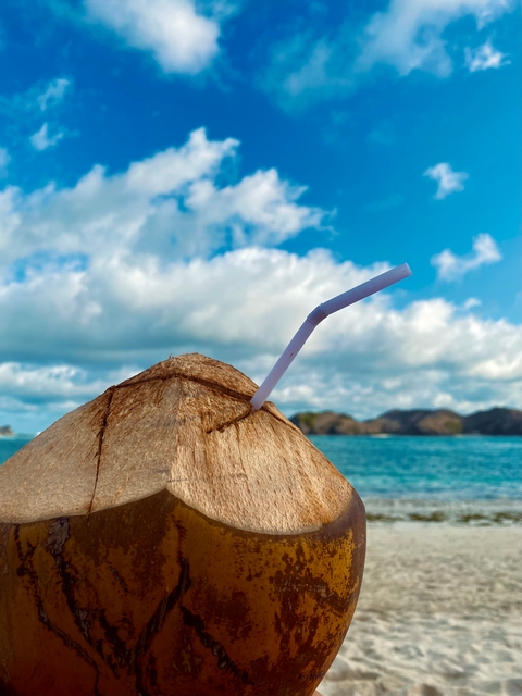 Coconut with a straw against a backdrop of ocean and hills