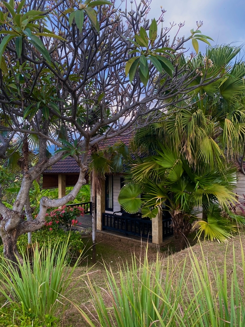 Lush vegetation surrounding a bungalow structure with a hill backdrop