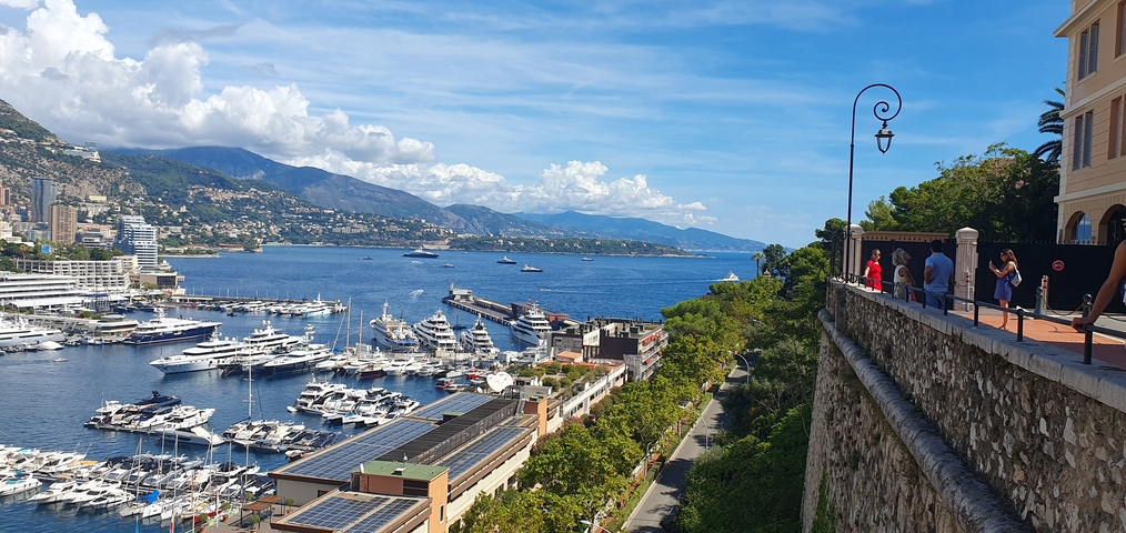 View of a marina with yachts and city in the background.