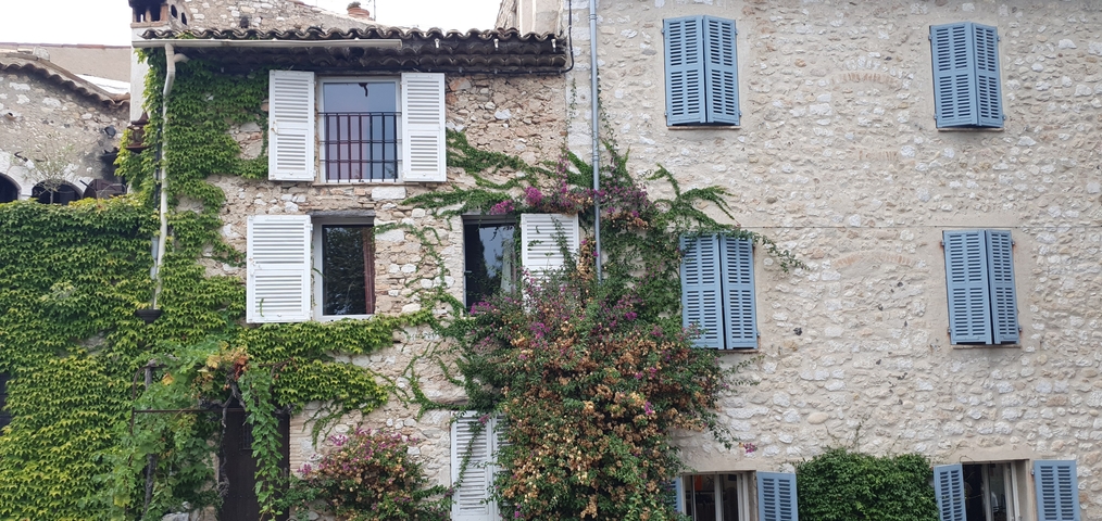       Stone building with ivy-covered walls and blue shutters.
  