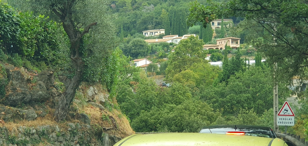Green landscape with houses on a hillside.