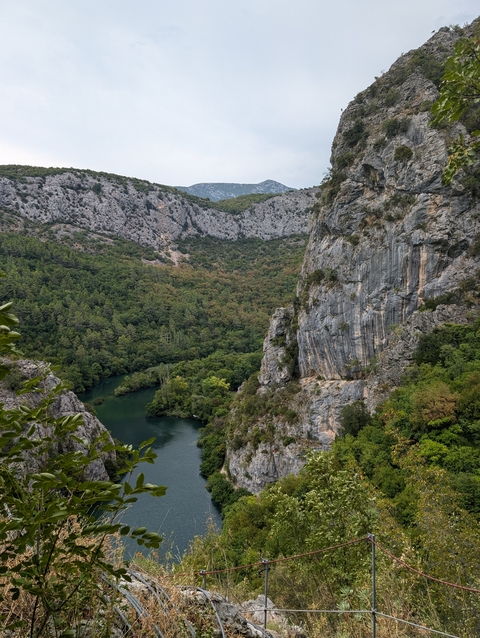 Rocky cliff with green vegetation.