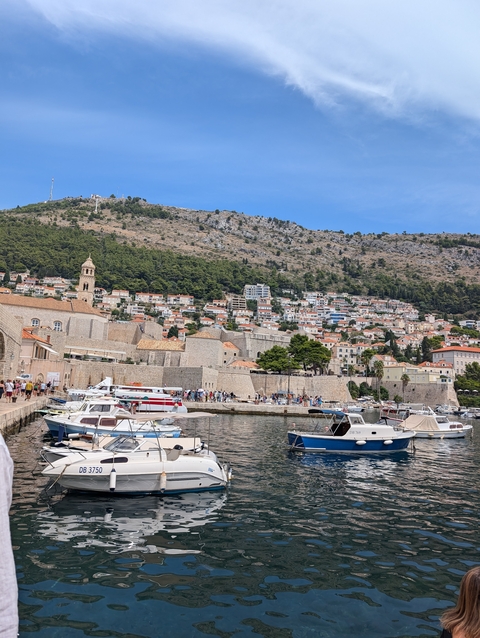 Harbor with boats and historic architecture.