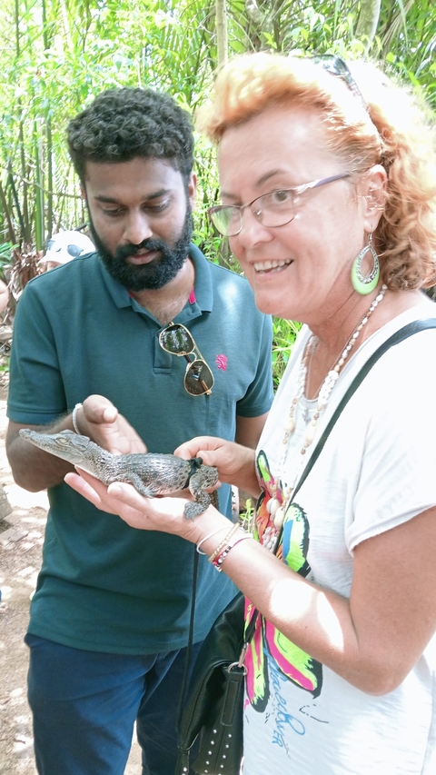 Close-up of tourists holding a baby crocodile.