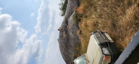 Tourist in a hot air balloon watching the savannah.