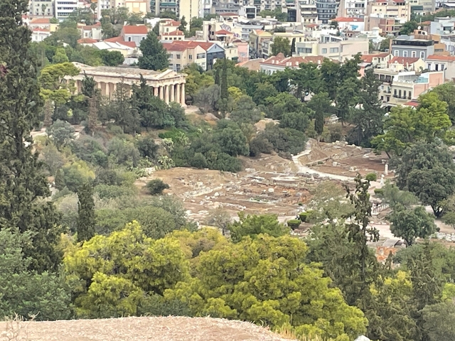 Archaeological site with lush greenery and ancient structures.