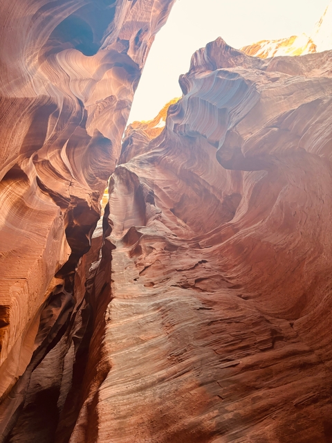 Narrow canyon with smooth, layered rock formations.