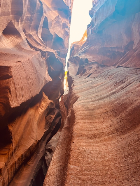 Beautifully lit canyon with towering rock walls.