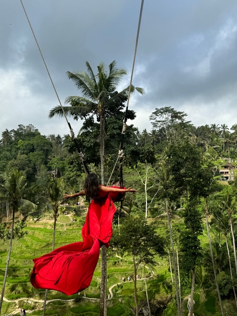       Person on a swing overlooking lush tropical landscape.
  