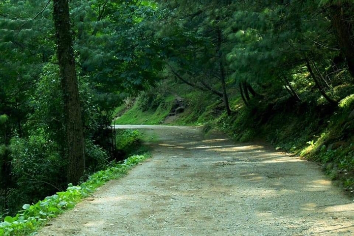 Klantbeoordelingsfoto van Verken Islamabadagen, Murree & Nathiagali 