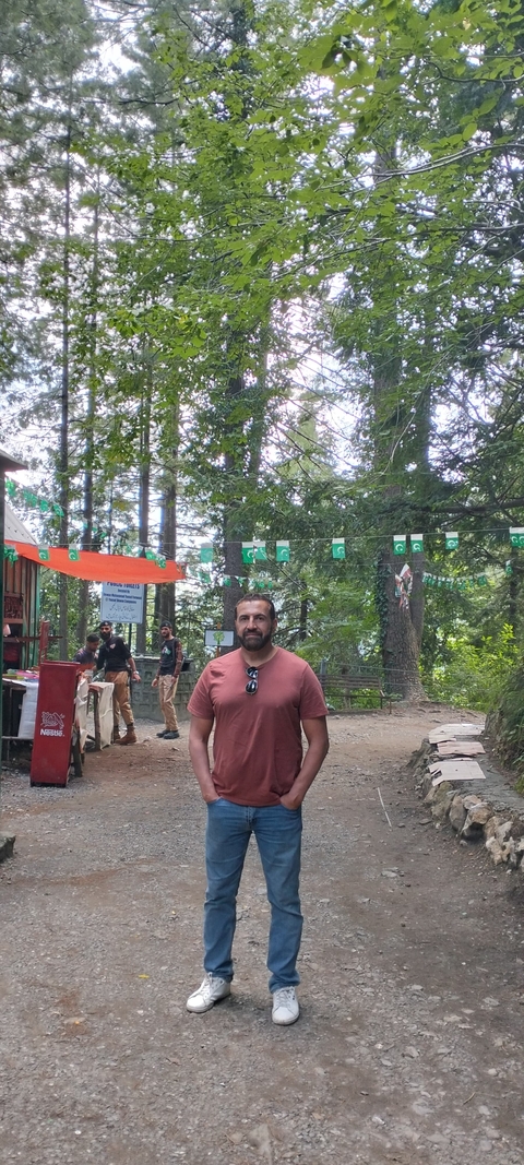       Person amidst flags in a wooded park.
  