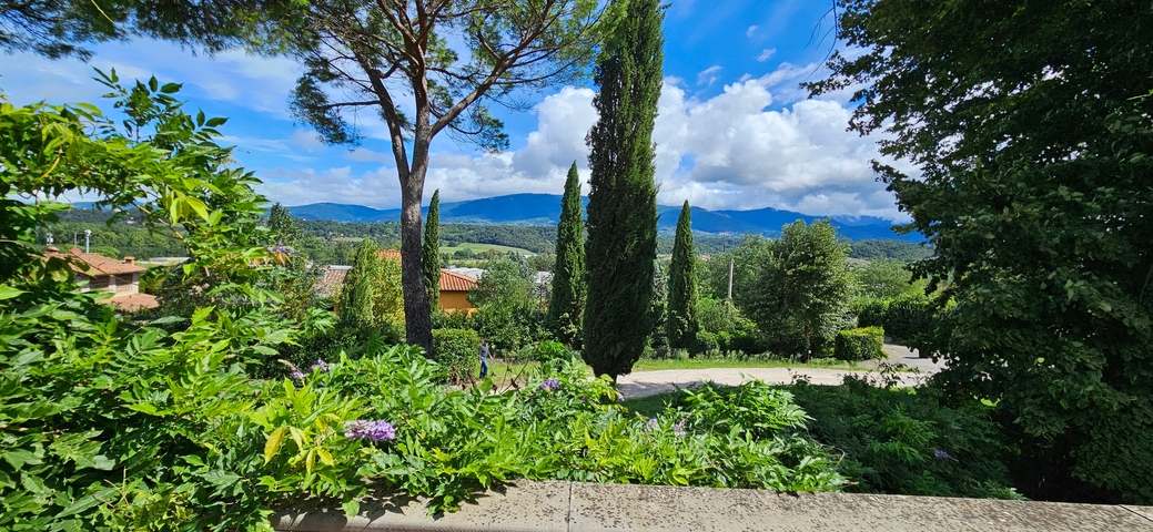 Scenic view of a lush landscape with trees and mountains.