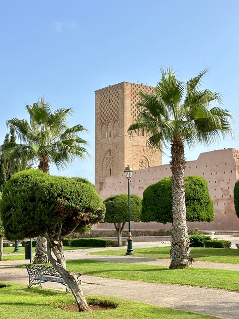       Tall tower surrounded by palm trees and gardens.
  
