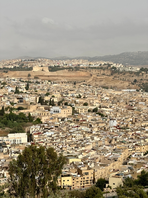       Panoramic view of a historic city with numerous buildings and fortifications.
  