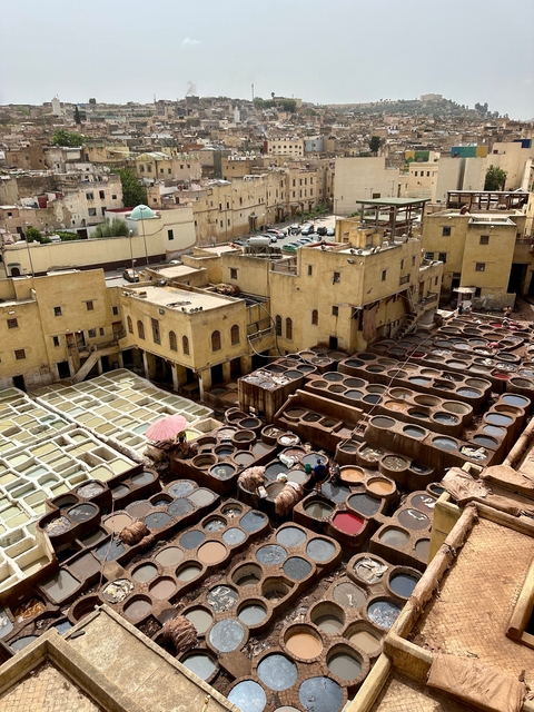       Traditional tannery with vats of dye and workers.
  