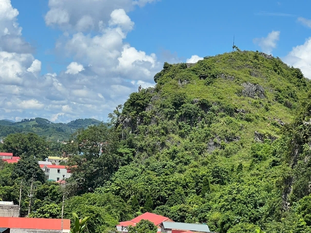 Lush green hill with a clear blue sky.