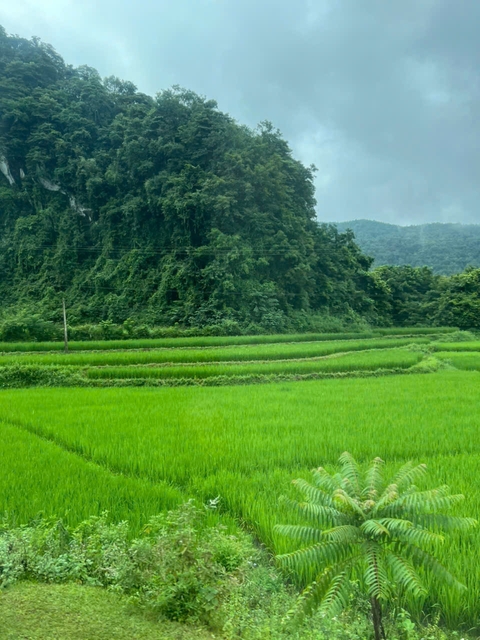 foto de reseña de cliente de Descubre Hanói - Cascada de Ban Gioc - Lago Ba Be 3 días/2noches 