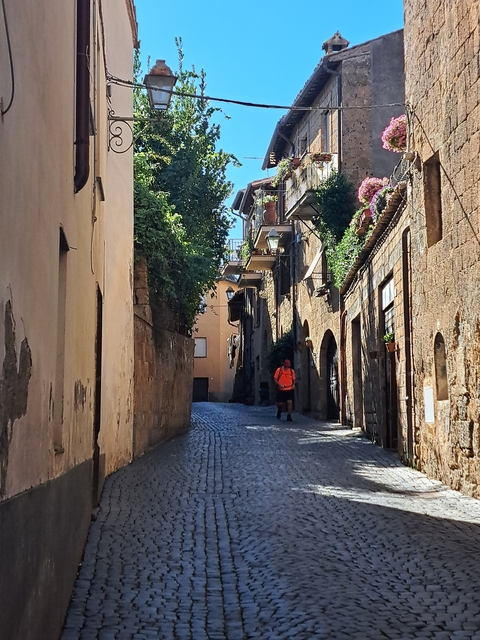       Person walking through narrow, charming street.
  