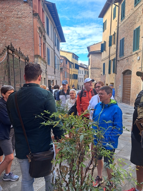       Tour group walking down a narrow street surrounded by buildings.
  