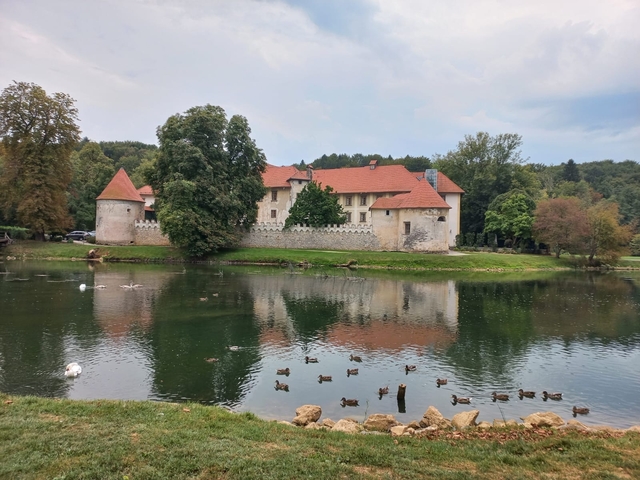       A castle surrounded by a moat with ducks.
  