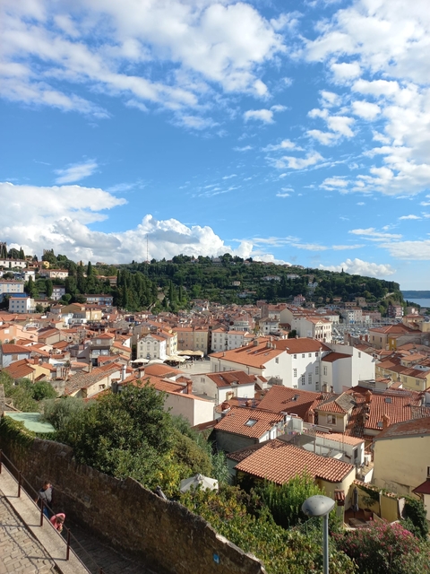       Aerial view of a coastal town with red roofs.
  