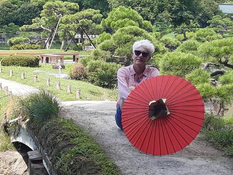 Person holding a red umbrella, with a park and trees in the background.