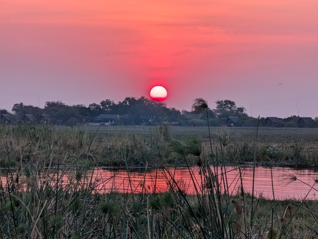 Sunset over a river with tall grass in the foreground.
