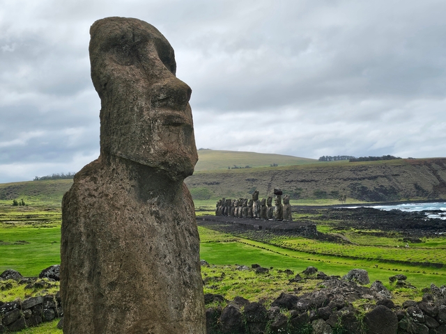       Large stone Moai statues on a grassy landscape with ocean in the background.
  