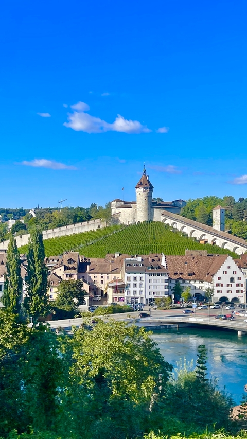 Schaffhausen Munot fortress with vineyards in the foreground under a clear sky.