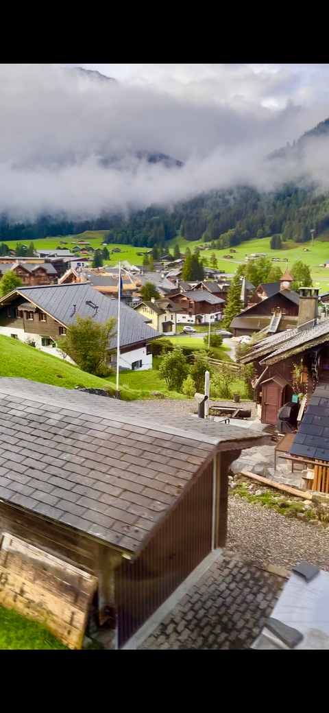 A picturesque Swiss village with traditional houses on a green slope.