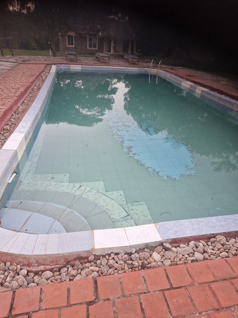 A swimming pool with clear water showing some reflection.