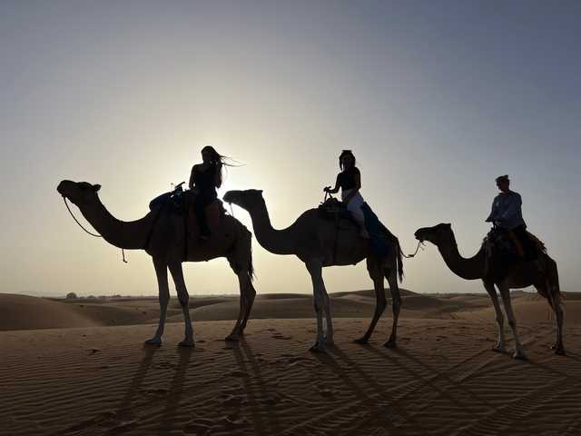 Silhouettes of people riding camels in the desert.