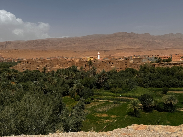 Oasis with a view of palm trees and desert village.
