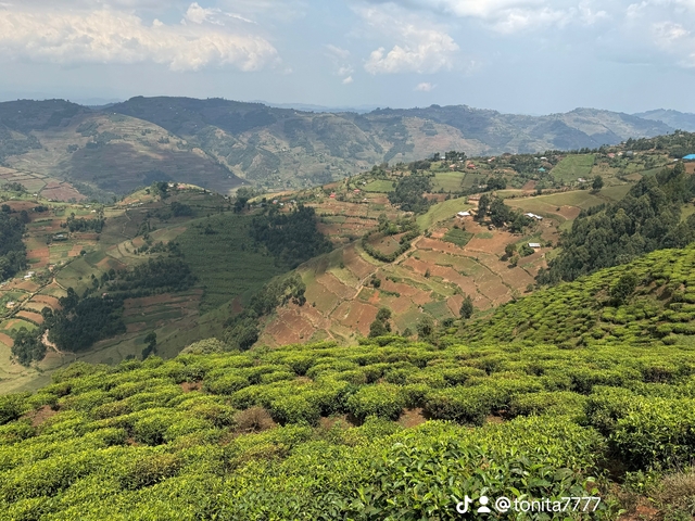       Aerial view of a hilly landscape with farms.
  