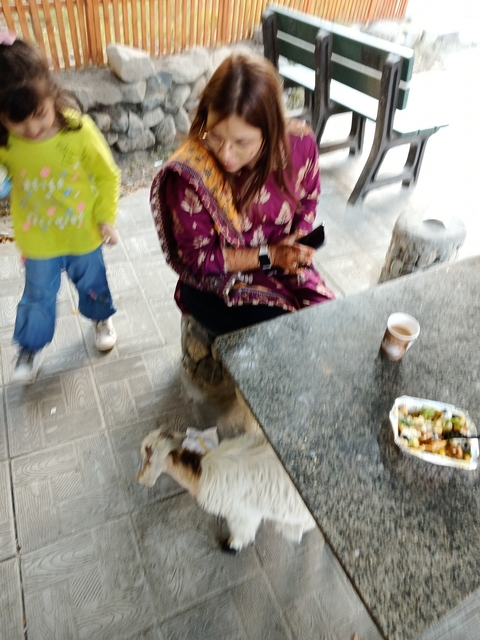 A blurry image of a woman sitting with a child standing next to her.
