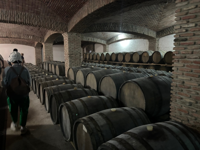 A person walking through a cellar filled with wine barrels.