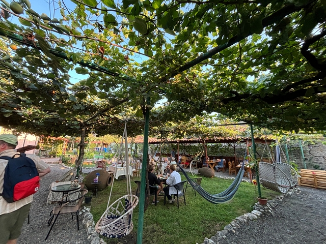 Garden restaurant with people dining under vine-covered trellis.