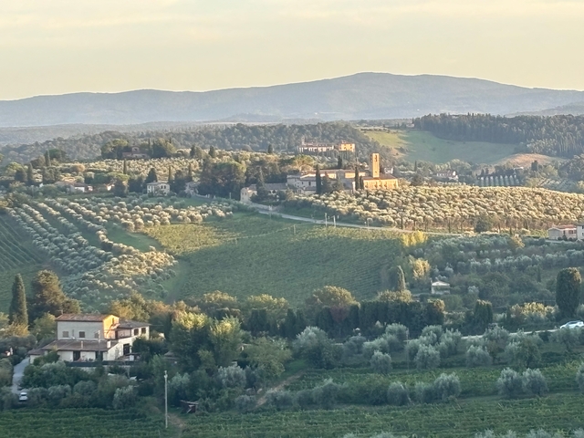       Scenic view of a hillside village surrounded by vineyards.
  