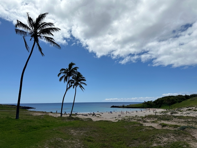 Scenic beach with palm trees under a partly cloudy sky.