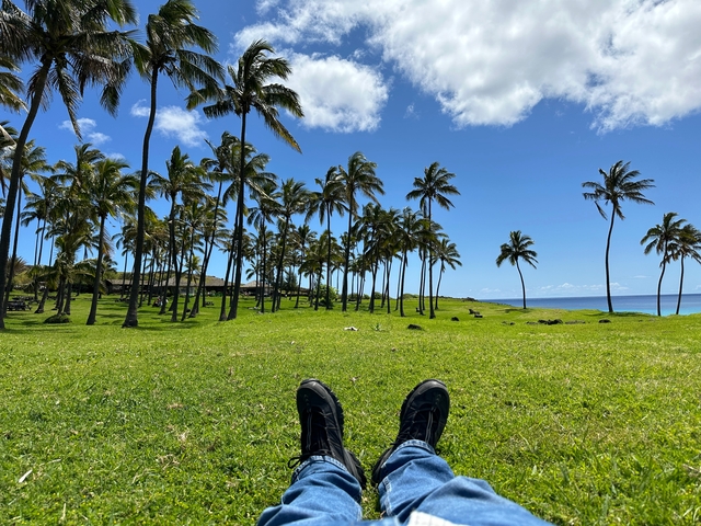 View of palm trees from a grassy field with feet visible.