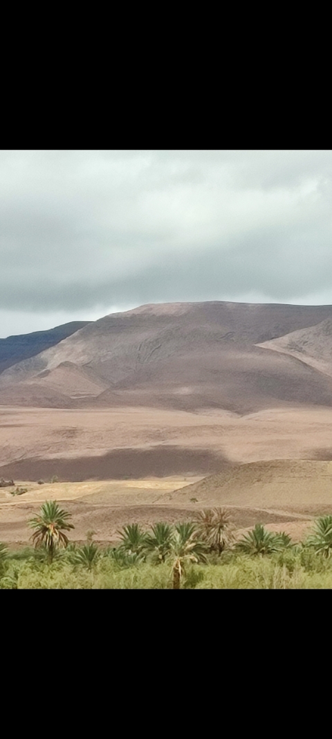       Blurry landscape of a desert-like area.
  