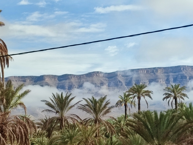       Mountains with clouds and palm trees.
  