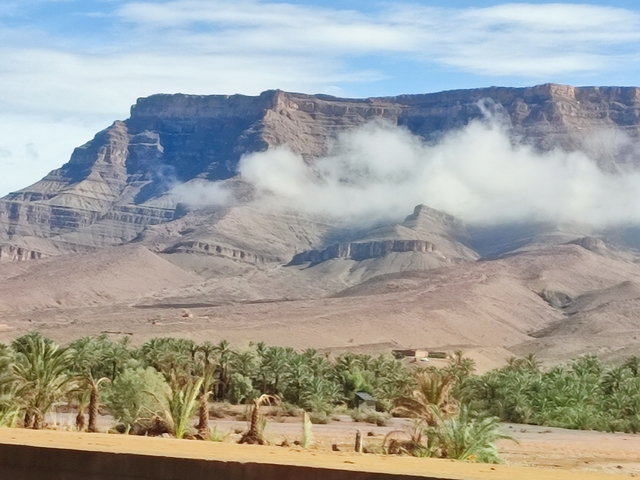       Mountain range with palm trees in the foreground.
  